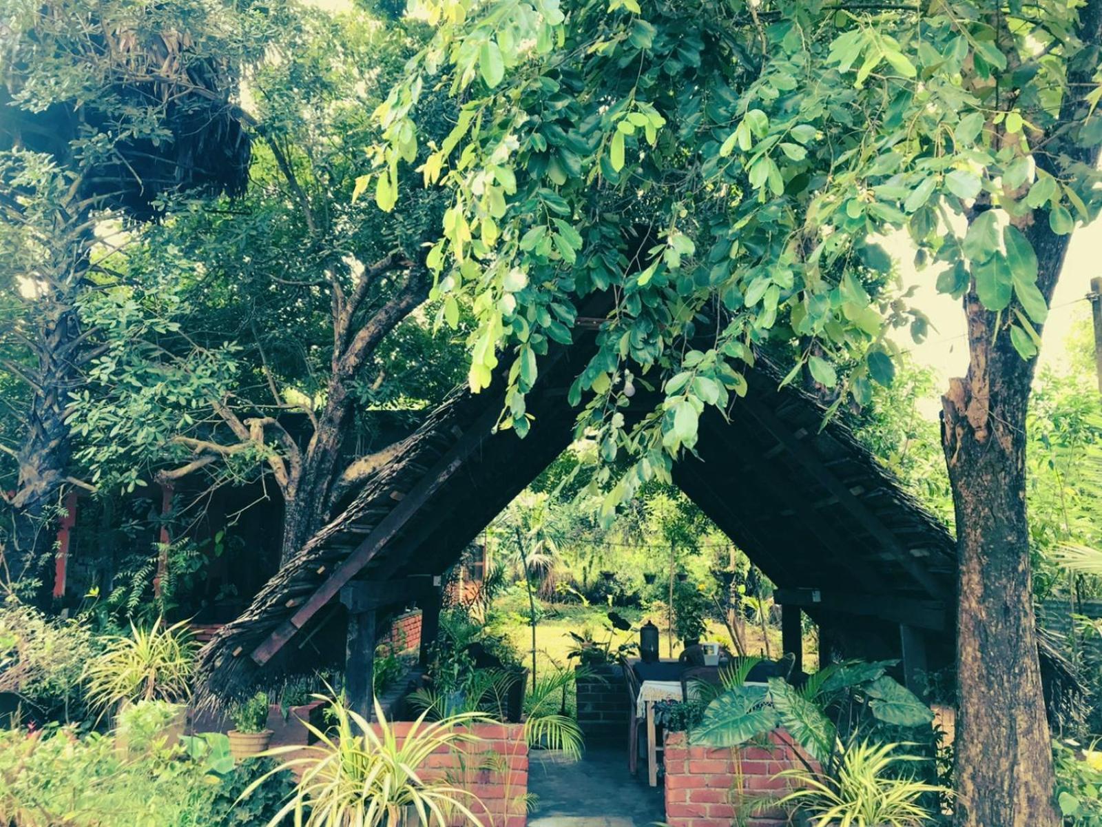 Oleena Home Stay Хабарана Экстерьер фото