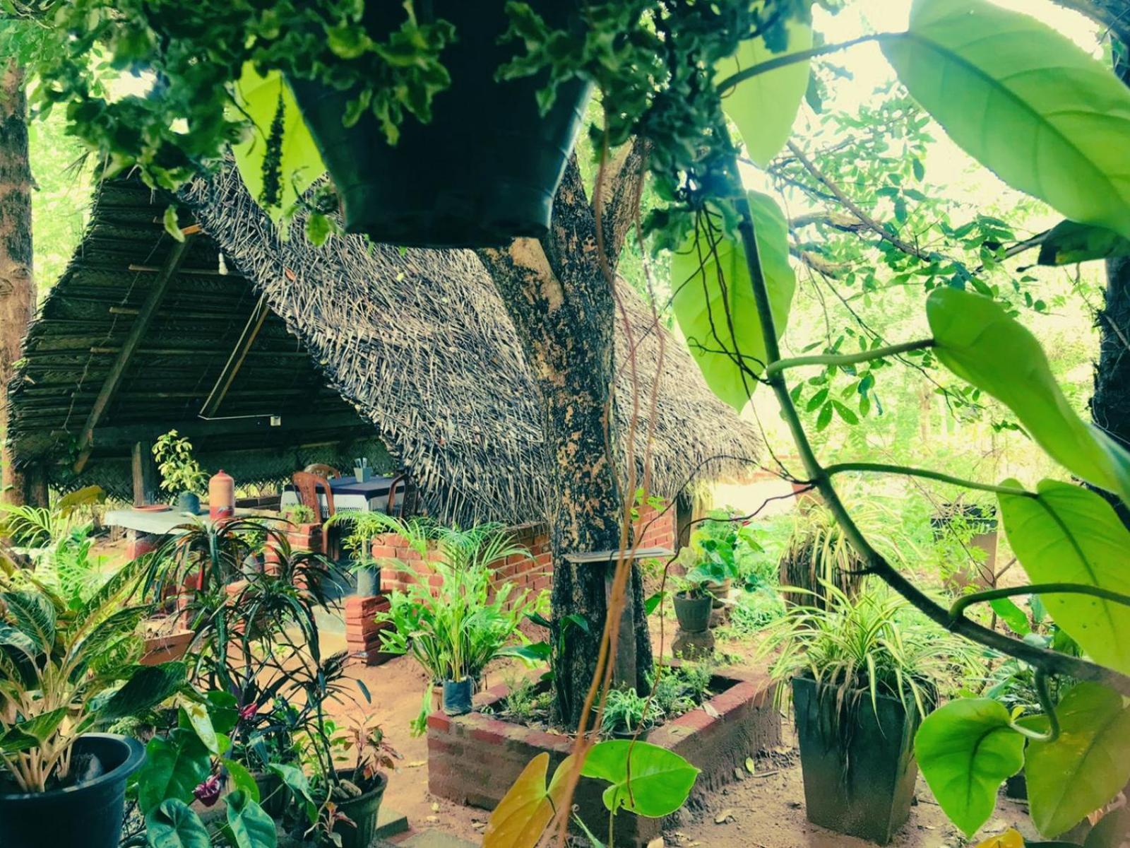 Oleena Home Stay Хабарана Экстерьер фото