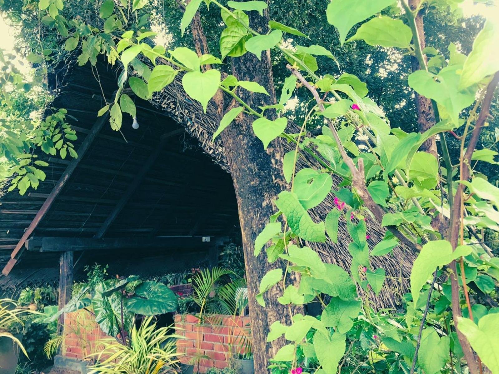 Oleena Home Stay Хабарана Экстерьер фото